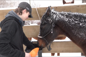 Remuda Horsemanship Program at PSD